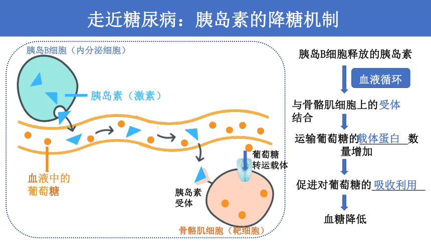 高中生物