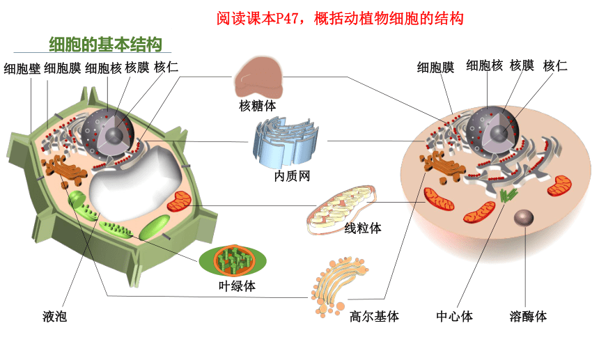 高中生物