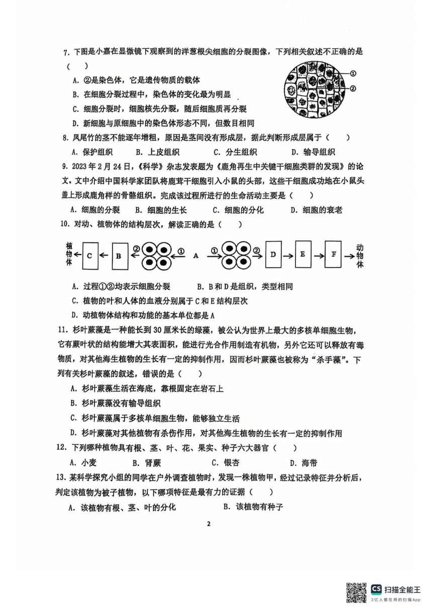 初中生物