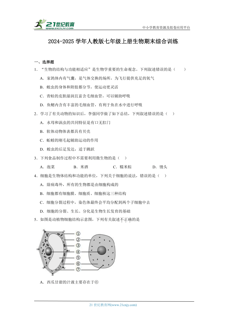 初中生物