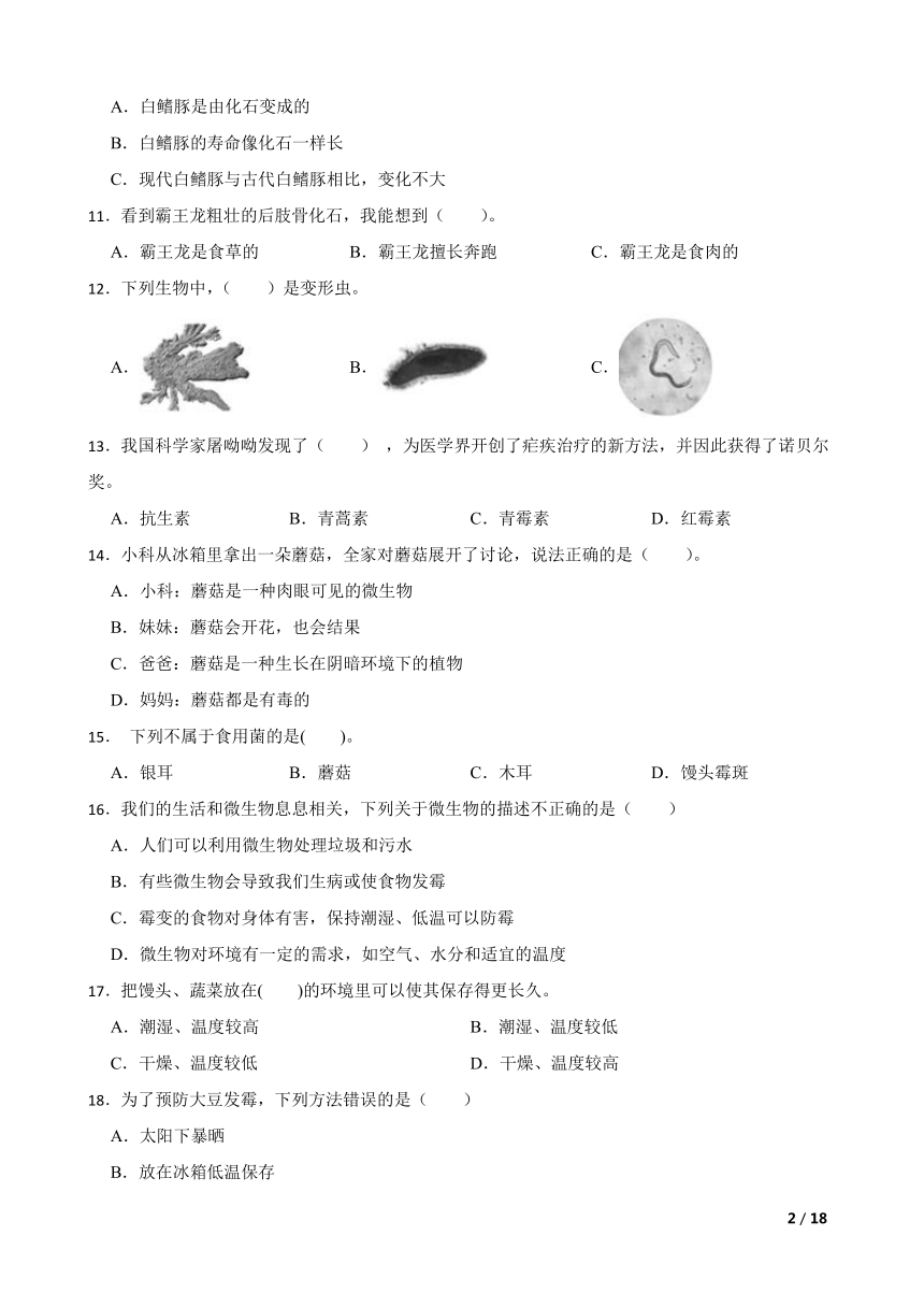 小学科学