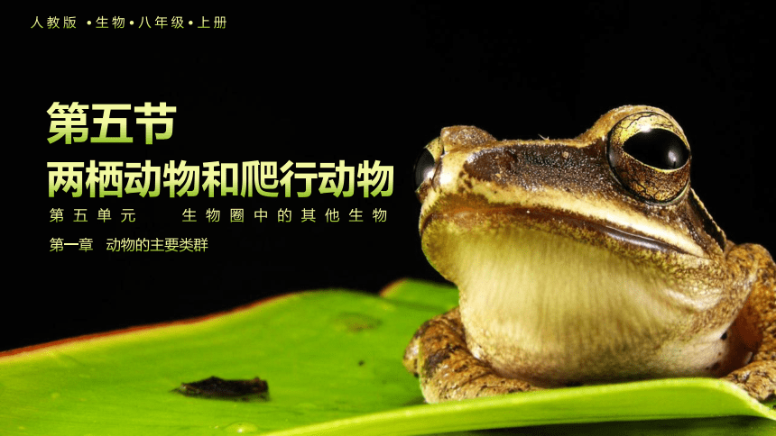 初中生物