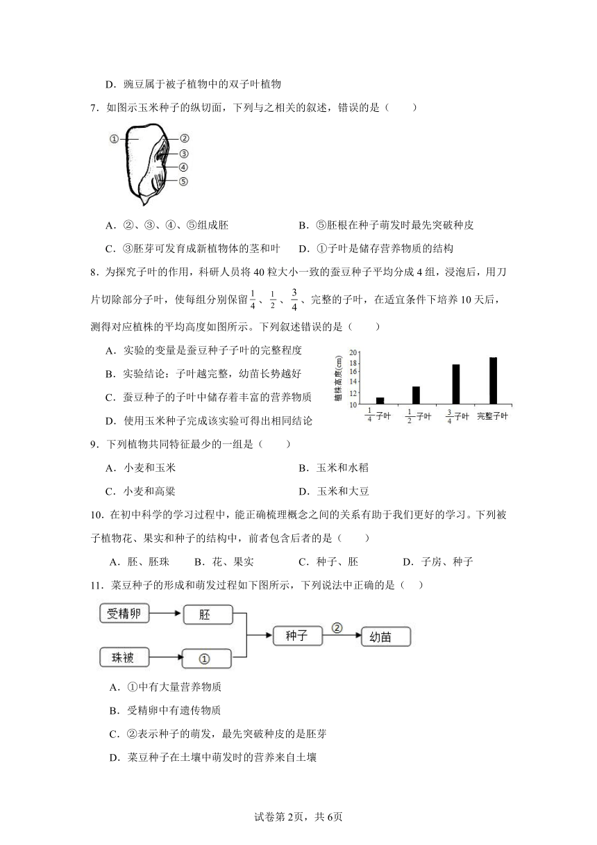 初中科学