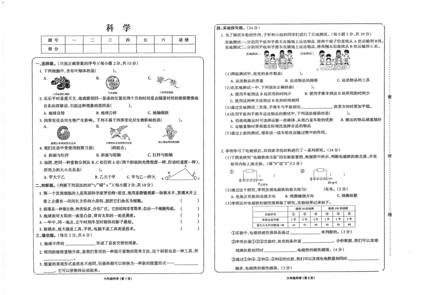 小学文理综