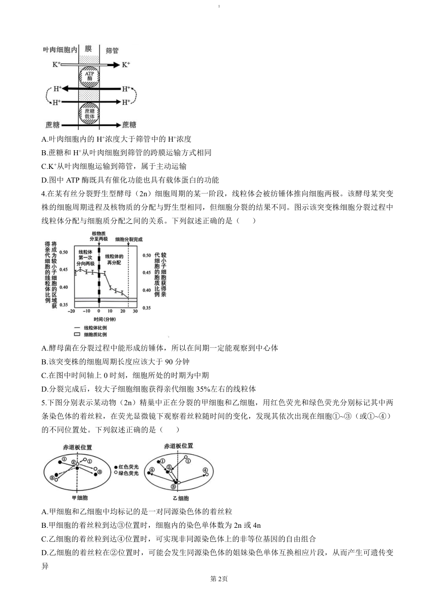 高中生物