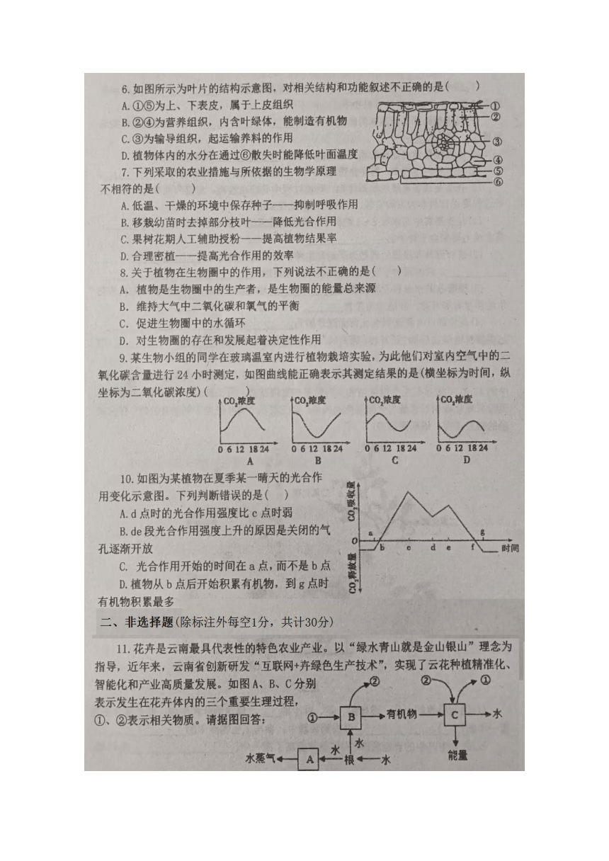 初中生物