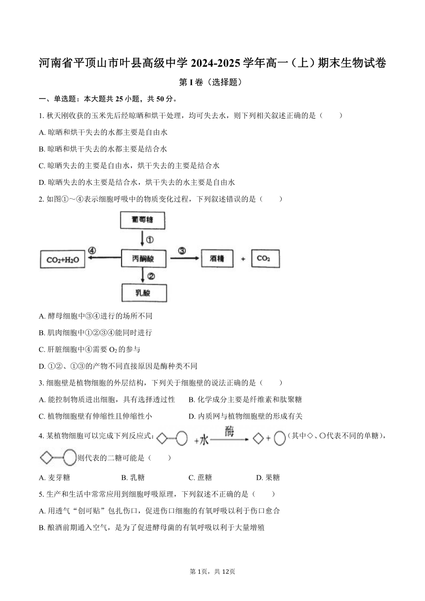 高中生物