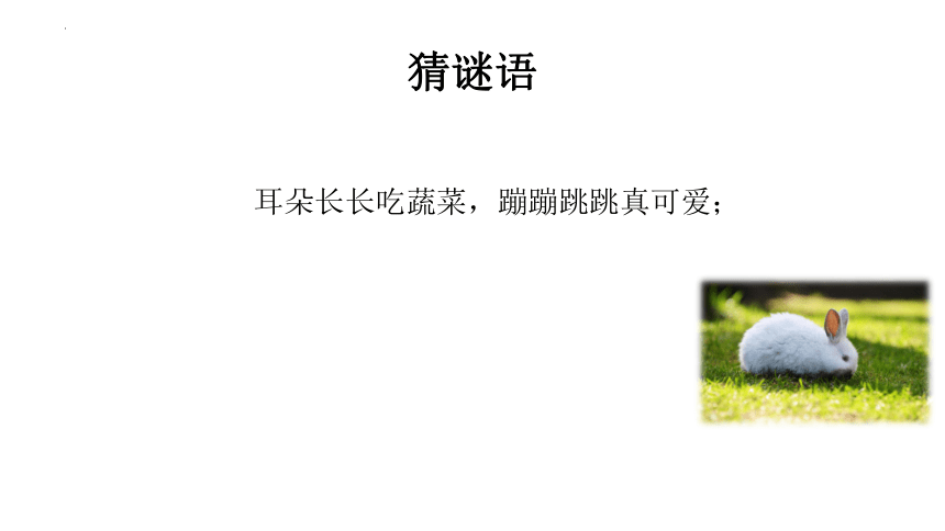 小学音乐