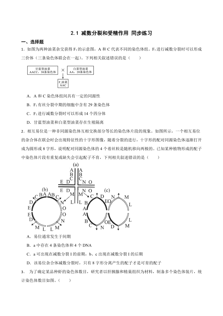 高中生物