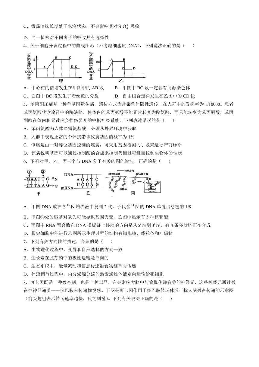 高中生物