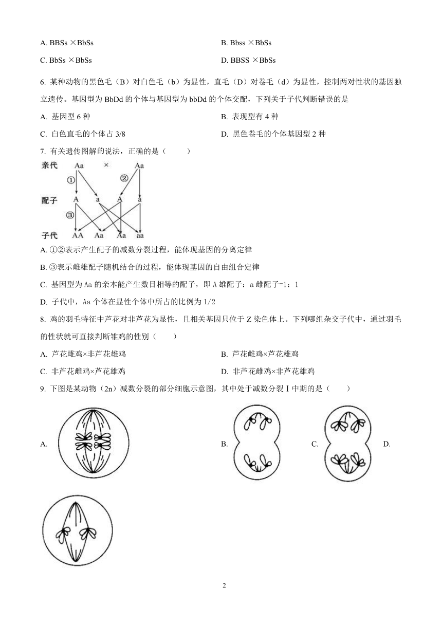 高中生物