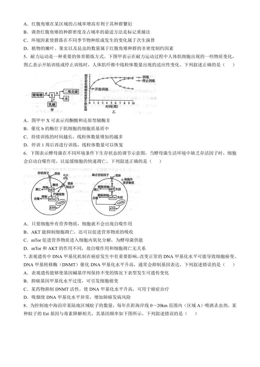 高中生物