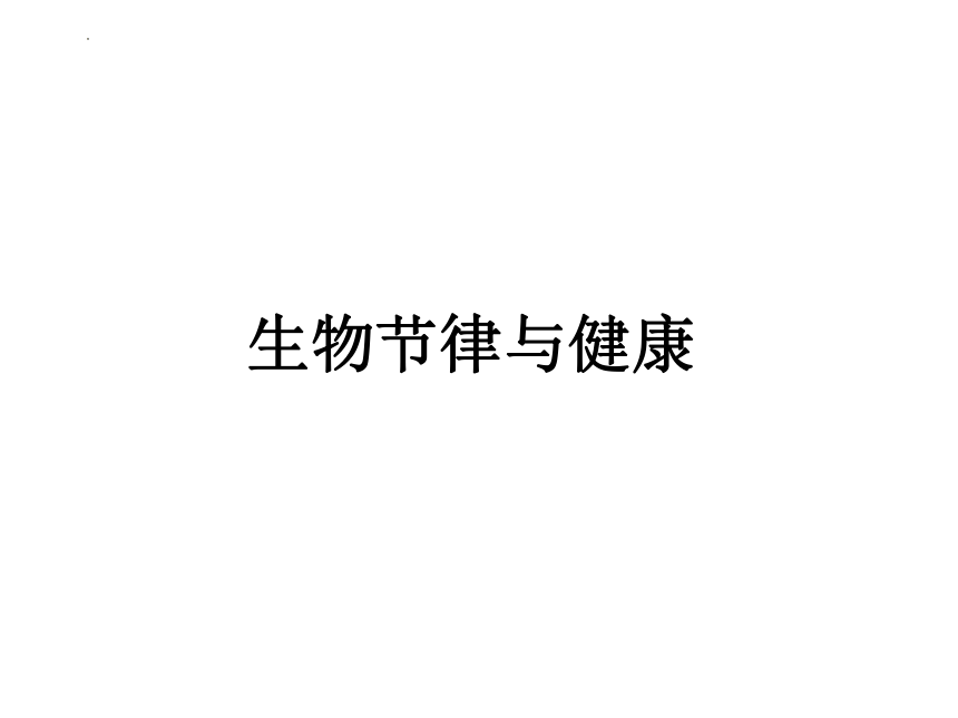 小学体育