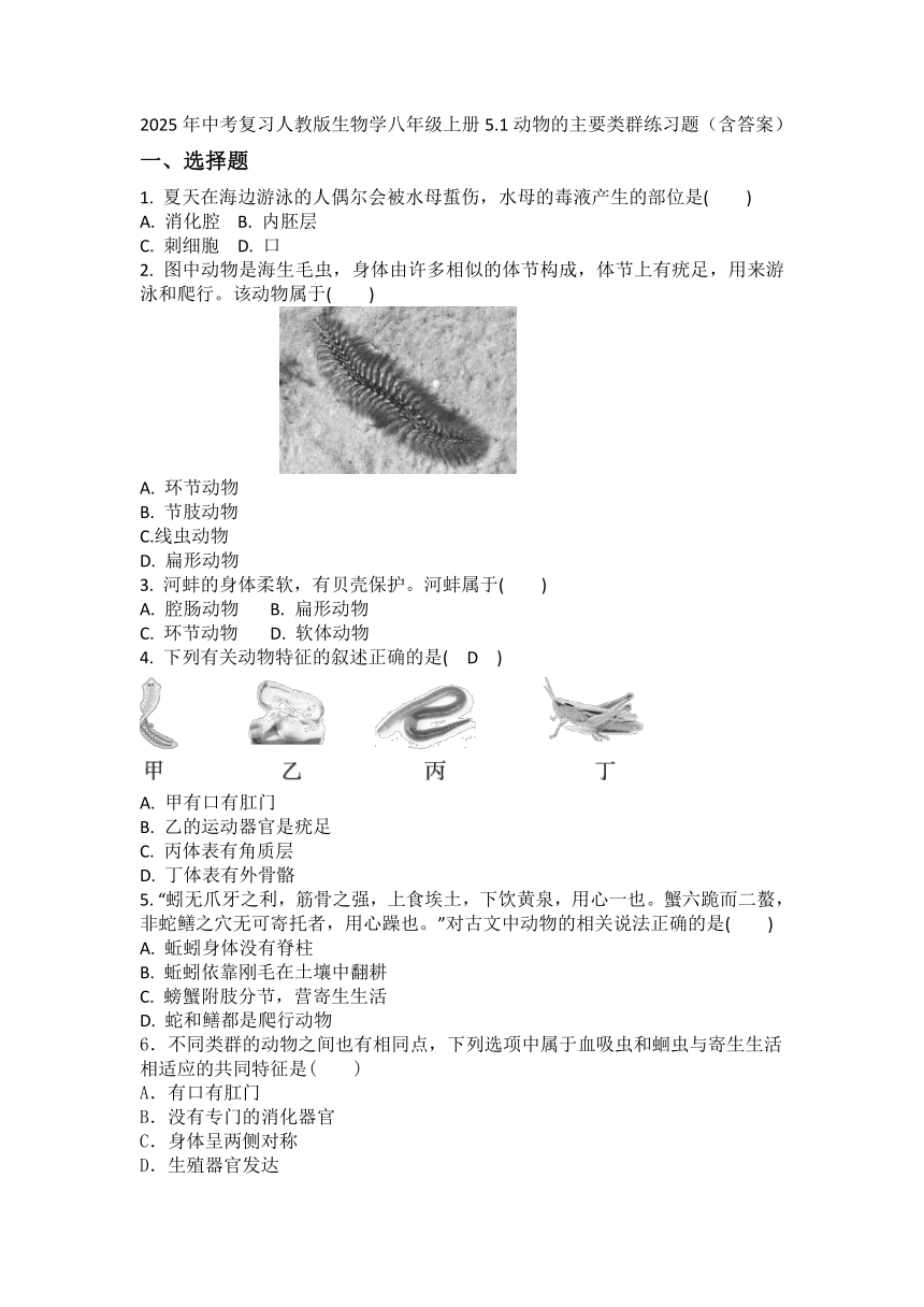 初中生物