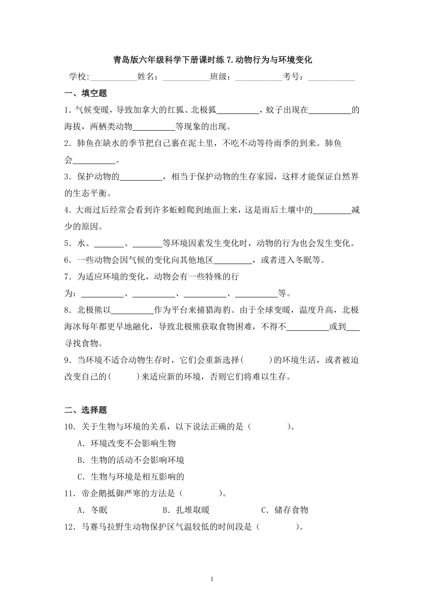 小学科学