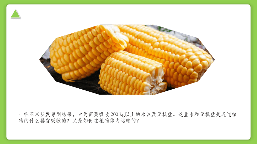 初中科学