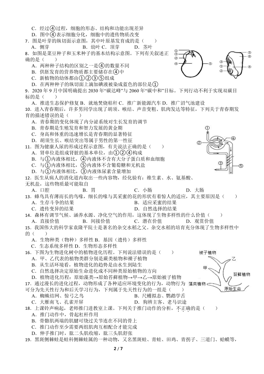 初中生物
