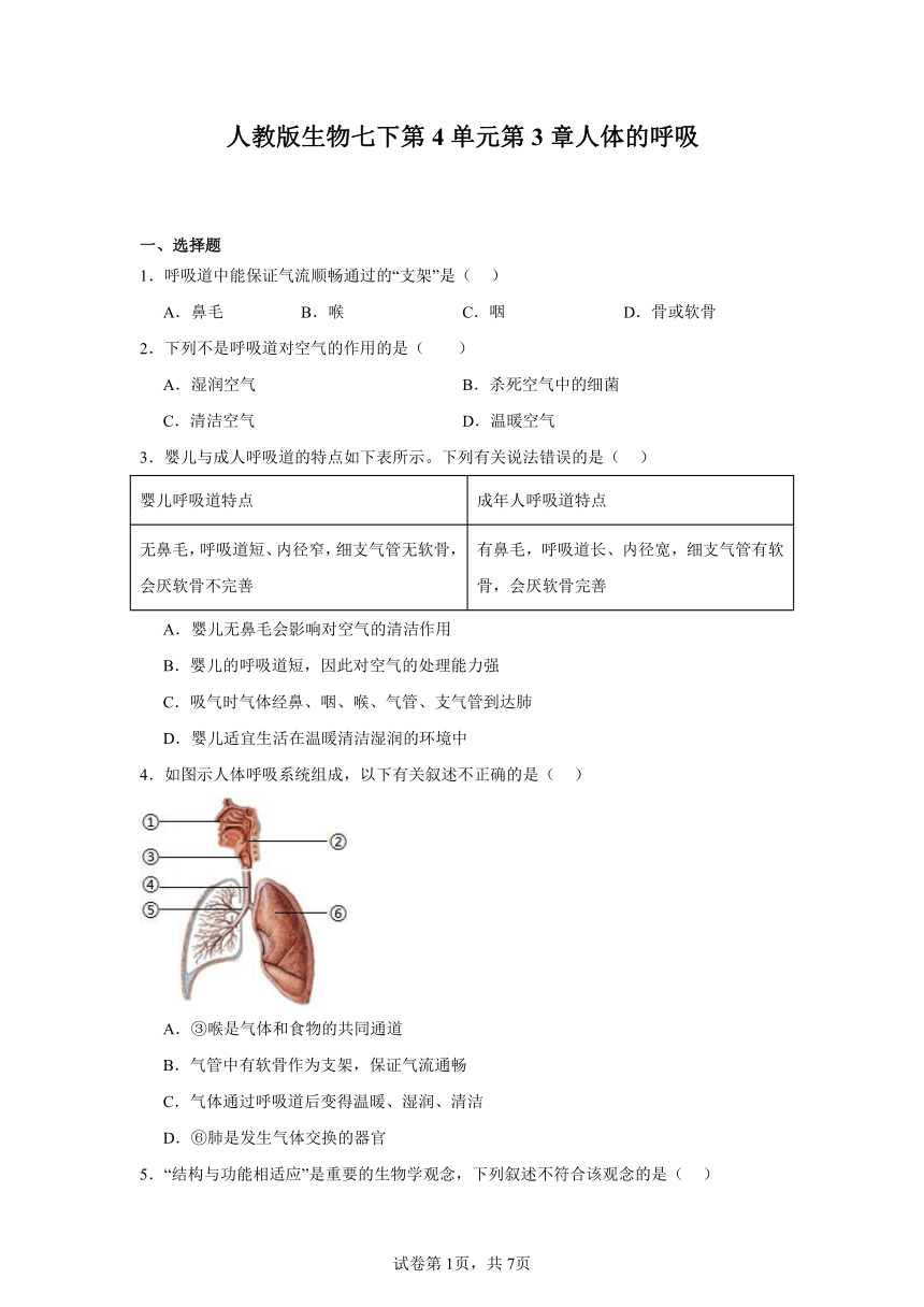 初中生物
