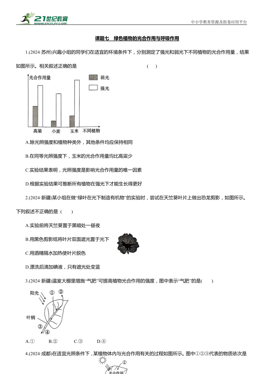 初中生物