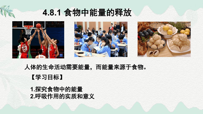 4.8.1食物中能量的释放课件（共20张PPT+内嵌视频2段）北师大版生物2025七年级下册