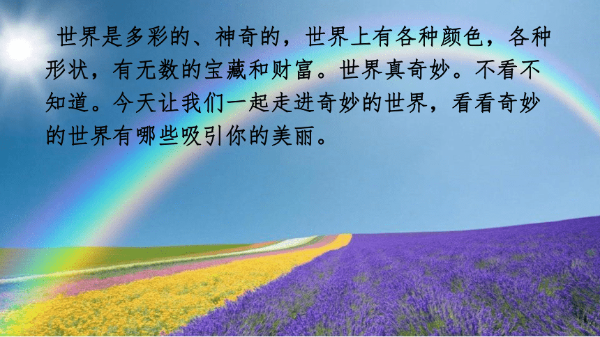 小学语文