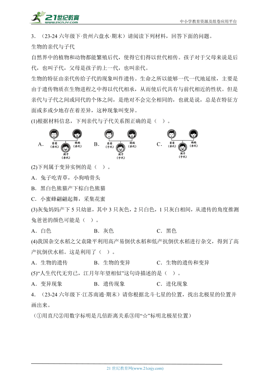 小学科学