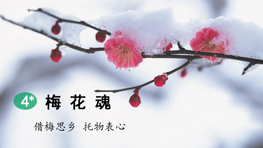 小学语文