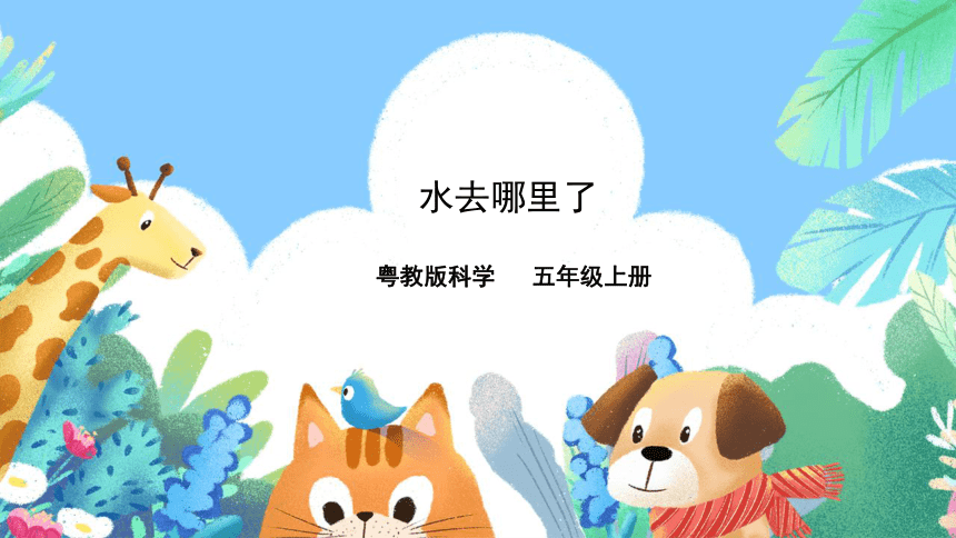 小学科学