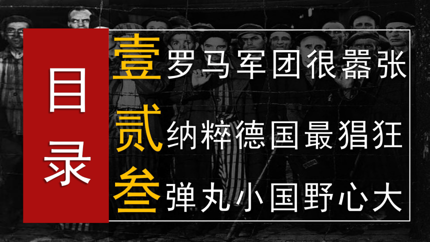 初中历史