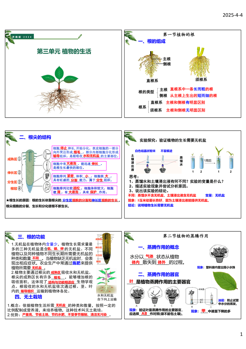 菏泽市牡丹区2025年济南版生物七下期中【知识点复习】学案 pdf版（全面清晰）