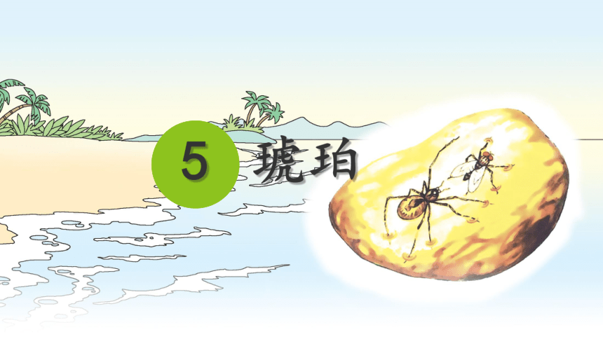 小学语文
