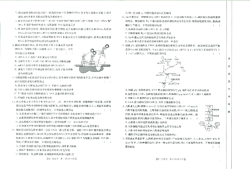 高中生物