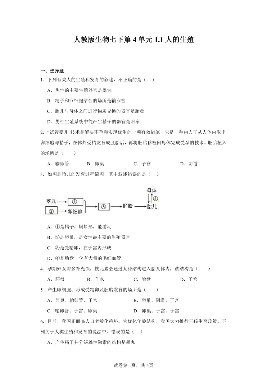 初中生物