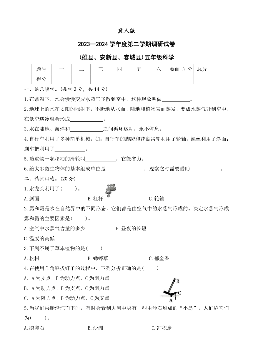 小学科学