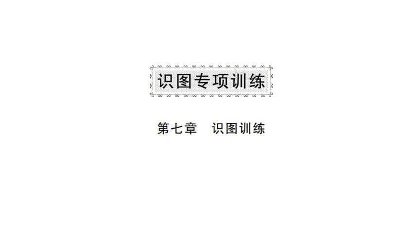 2024-2025学年湘教版地理七年级下册期末备考识图专题复习 习题课件（3份打包）