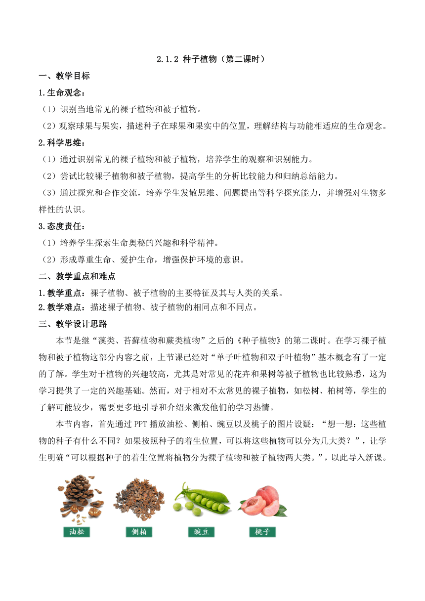 2.1.2 种子植物 第二课时（教学设计）七年级生物上册（人教版2024）