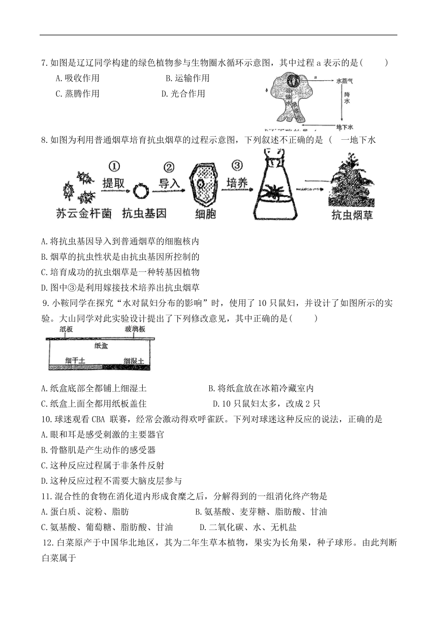初中生物