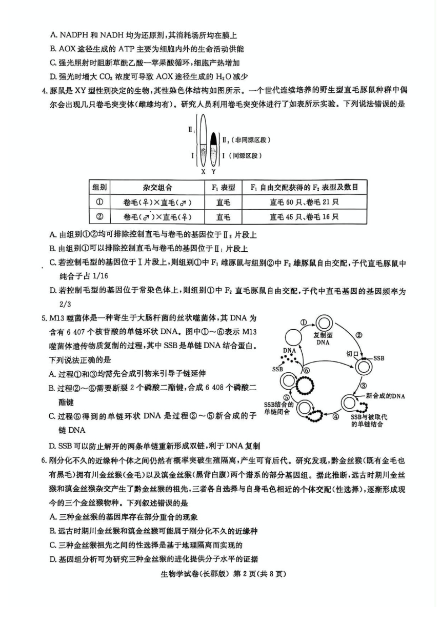 高中生物