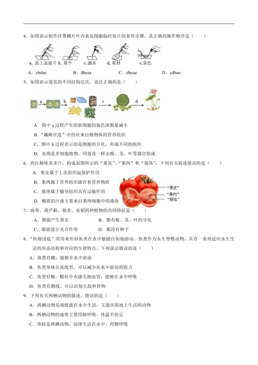 初中地理
