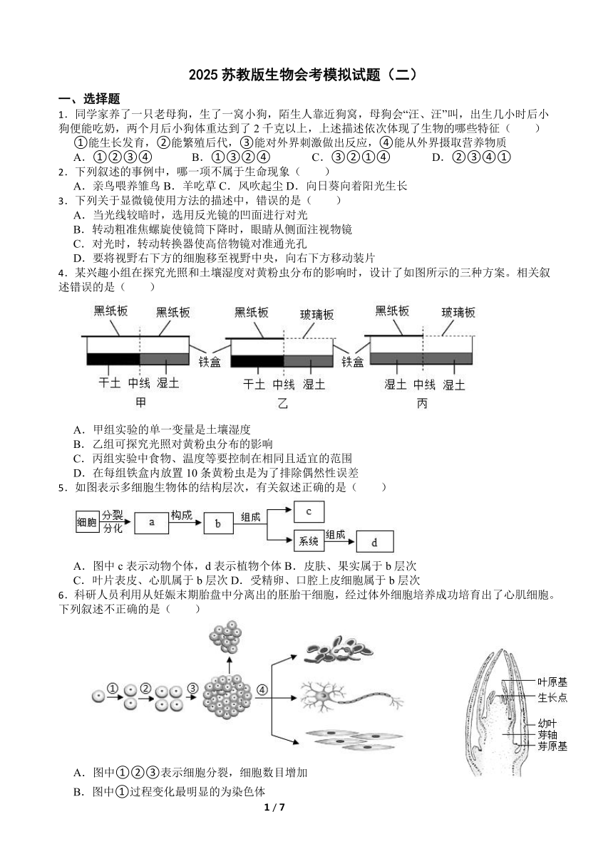 初中生物