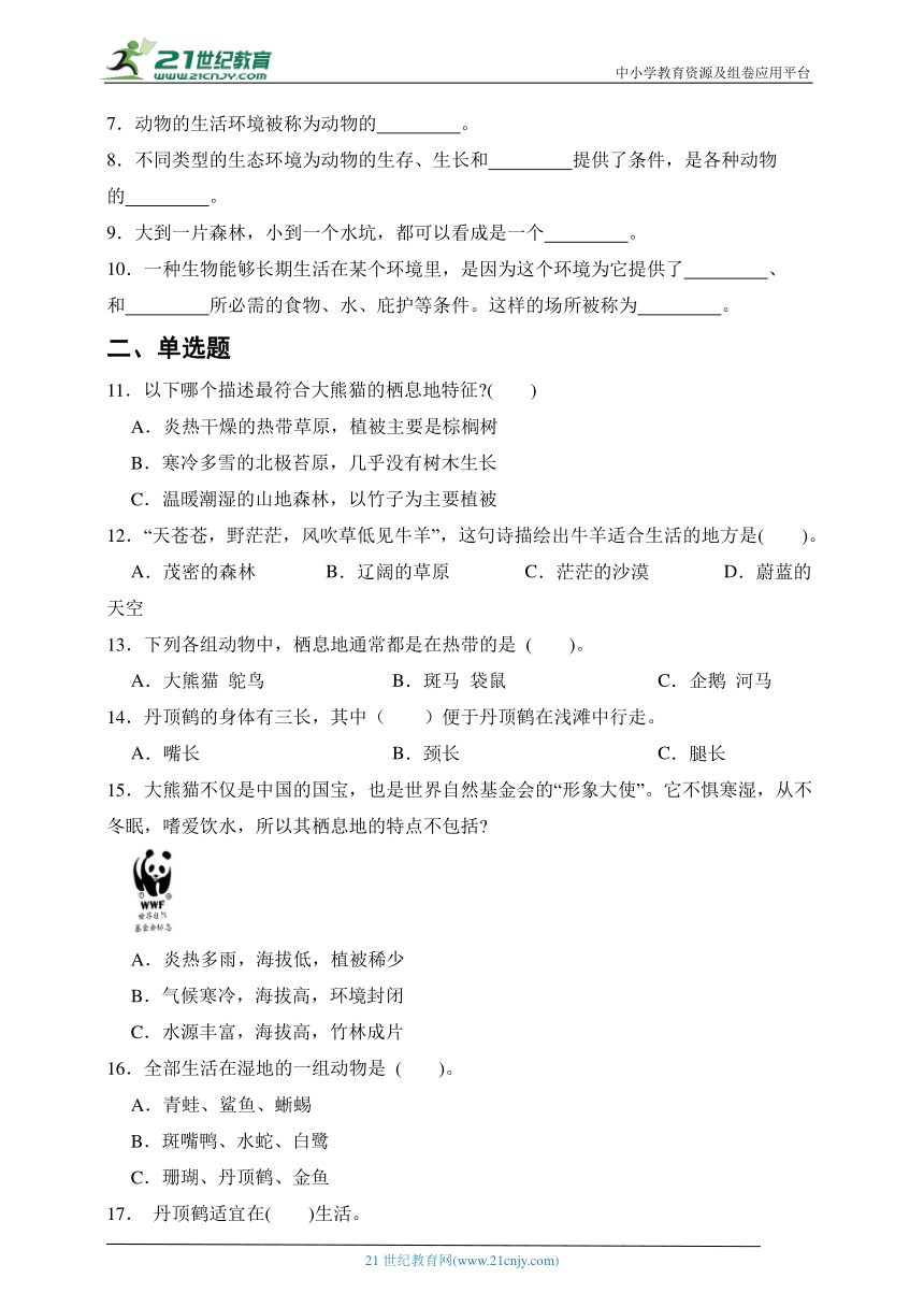 小学科学