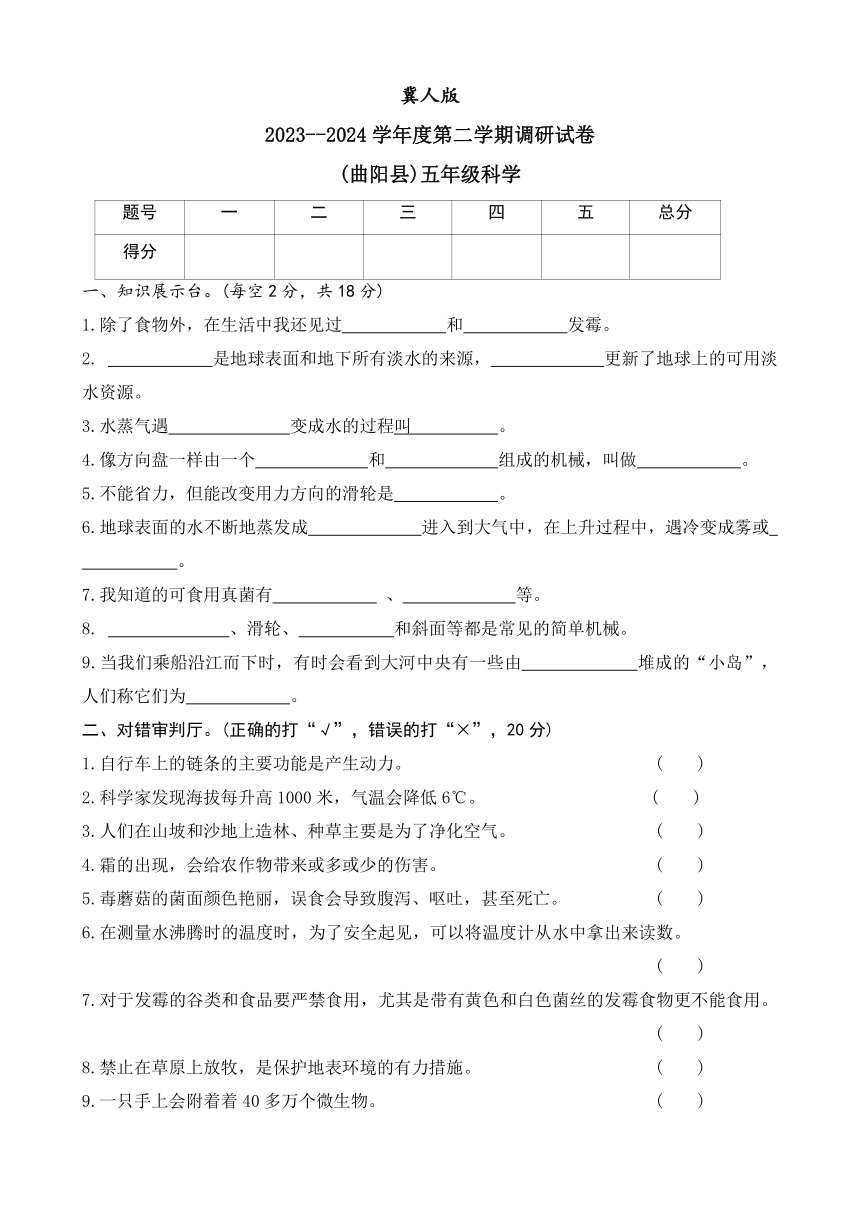 小学科学