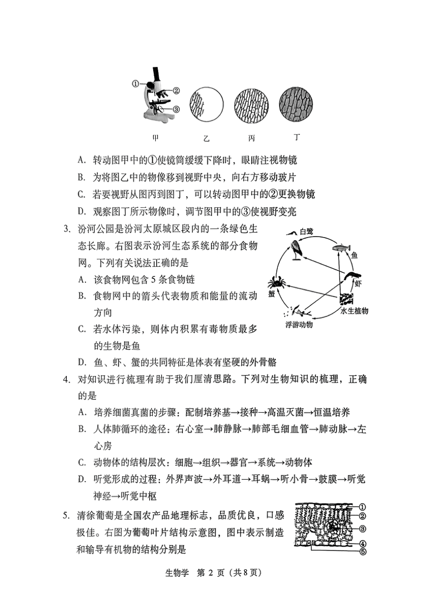 初中生物