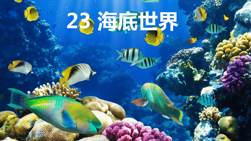 小学语文