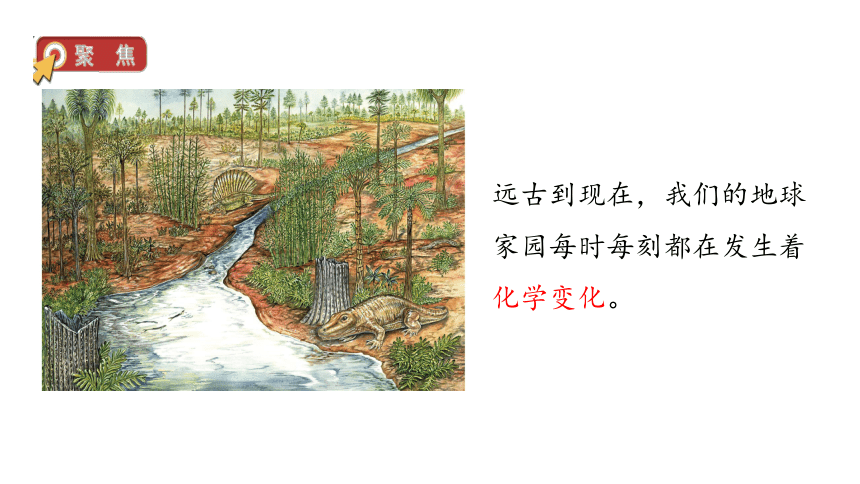 小学科学