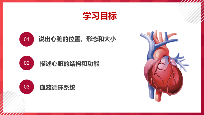 初中生物