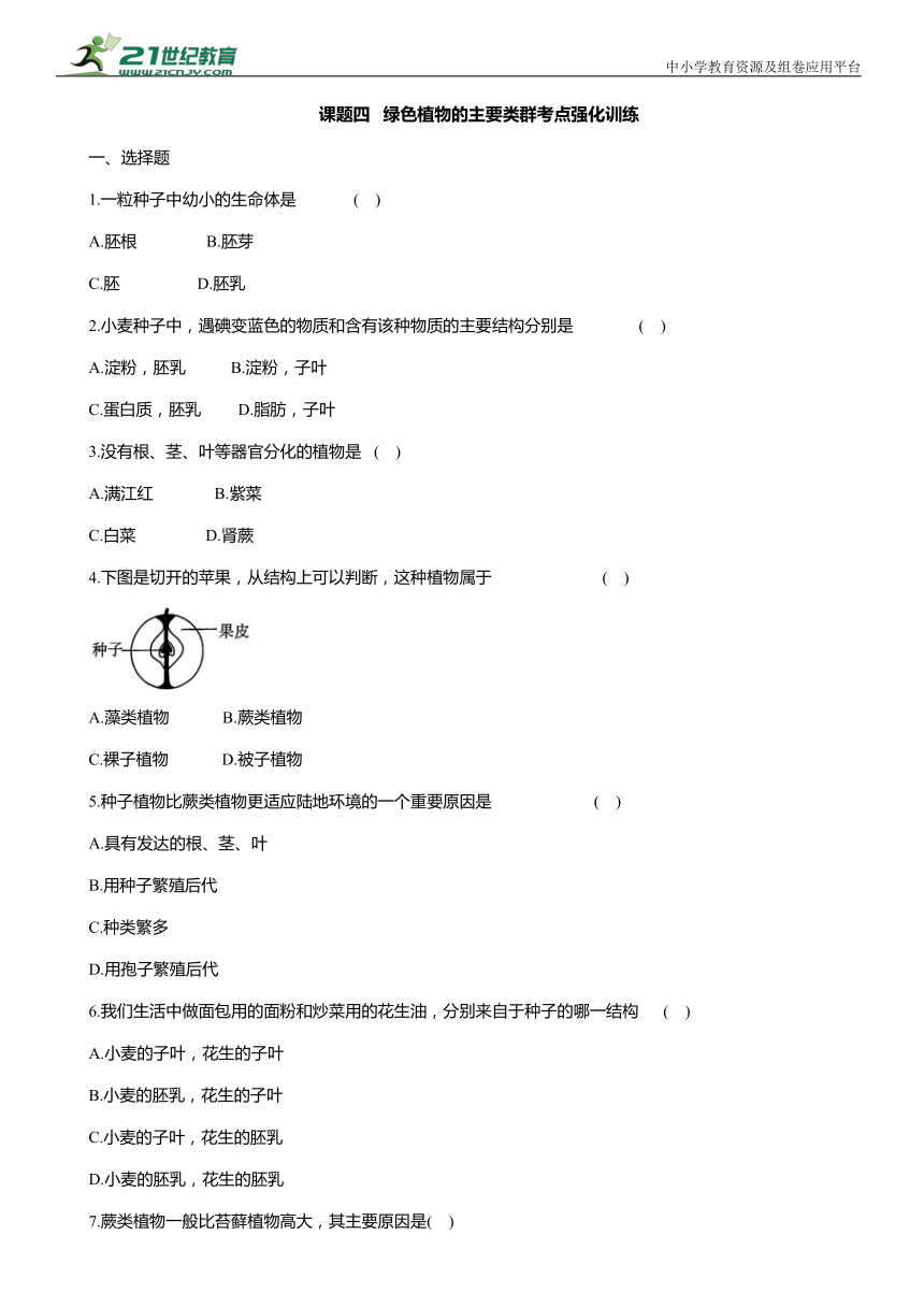 初中生物