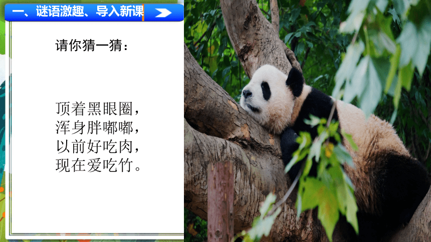 小学语文