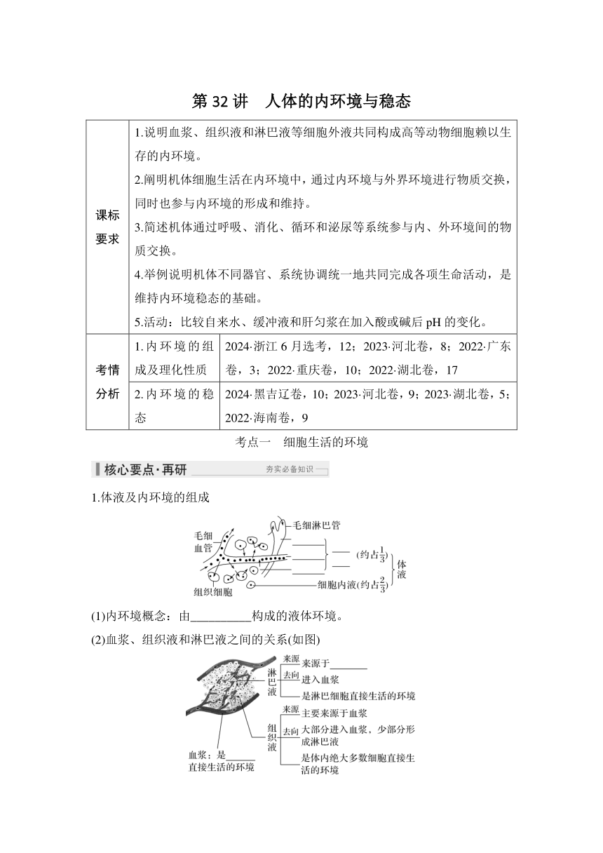 概念七：个体生命活动的调节  第32讲  体的内环境与稳态（课件 学案 练习）2026届高中生物学（人教版）一轮复习