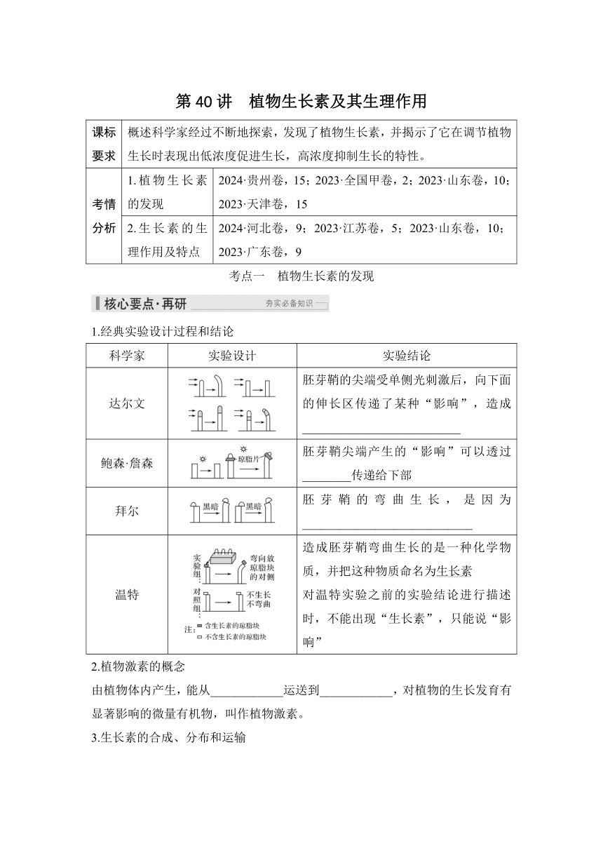 概念七：个体生命活动的调节  第40讲　植物生长素及其生理作用（课件 学案 练习）2026届高中生物学（人教版）一轮复习